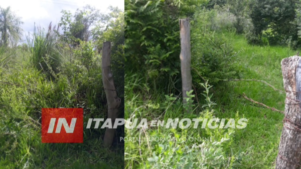 POLICÍA RECUPERA UNA RES HURTADA A PUNTO DE SER FAENADA POR ABIGEOS