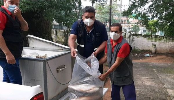 Interceptan vehículo que transportaba pescados de forma ilegal en Villa Hayes