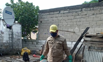 HOY / Preocupa aumento de casos de dengue en el departamento de Concepción