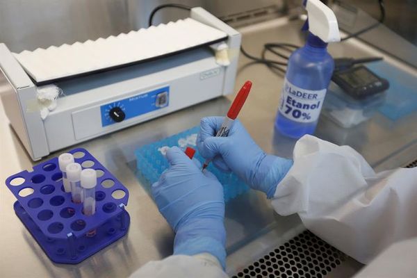 Científicos mexicanos analizan una posible nueva variante del SARS-CoV-2 - Mundo - ABC Color