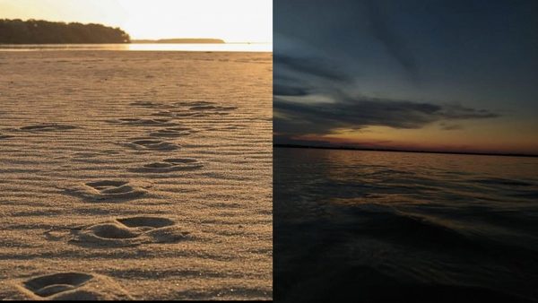 Entre los brazos del río Paraná