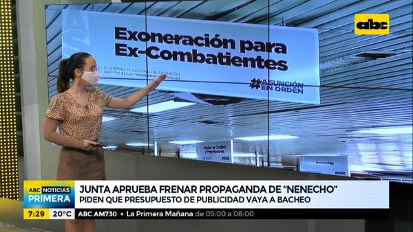 Junta Municipal aprueba frenar propaganda de Nenecho - ABC Noticias - ABC Color