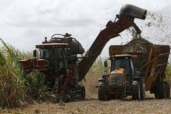 Secretario brasileño destaca el auge agrícola y la necesidad de apoyo técnico - MarketData
