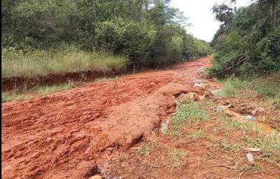 Productores de Altos, afectados por caminos en mal estado