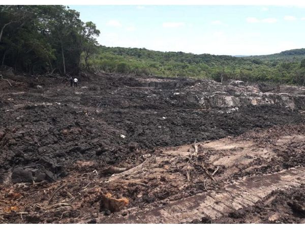 Congelan en Mades proceso contra granja de Samaniego