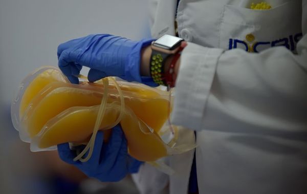 Paciente inmunodeprimido y tratado con plasma desarrolló variante del covid - Ciencia - ABC Color