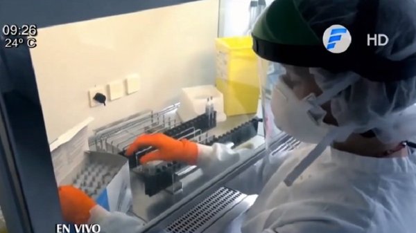 Las 300.000 vacunas llegarán de forma gradual: “Creíamos que vendrían todas de una” | Noticias Paraguay
