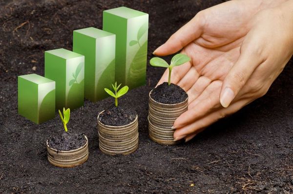 MIT coloca a Paraguay entre países que no aportan para un "futuro verde" - MarketData