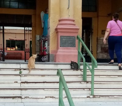 Crónica / El viejo Clínicas recobró vida en plena pandemia