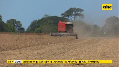 Enfoque Económico: ¿Cómo ha sido el comportamiento del sector agrícola? - Enfoque económico - ABC Color