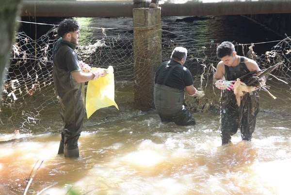 Desperdicios no cesan en arroyo Amambay y piden consciencia