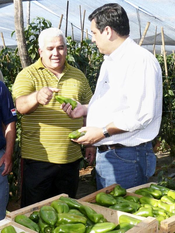 Fijan nuevamente preliminar para exministros de Agricultura - Nacionales - ABC Color