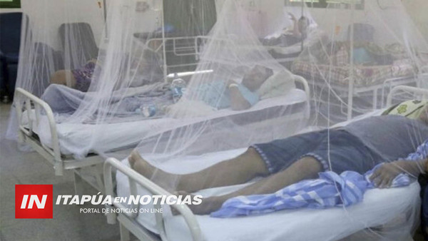 PARAGUAY REPORTA 62 CASOS DE DENGUE Y MÁS DE 2.200 NOTIFICACIONES DE LA ENFERMEDAD