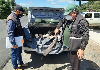 Incautan pescados sin documentaciones en la zona de Villeta | Ñanduti