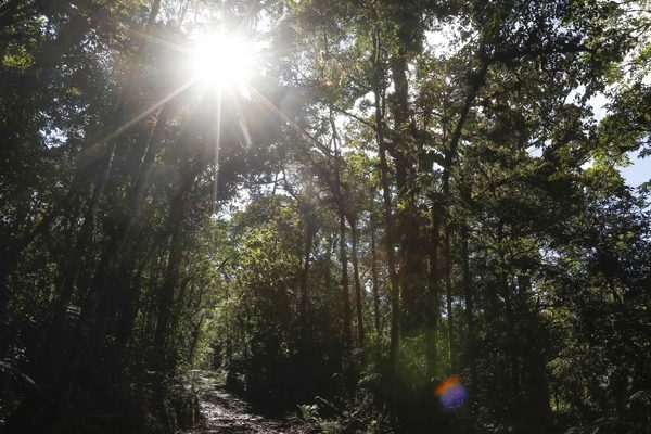 Costa Rica afirma que inició el proceso de recuperación turística ante la covid-19 - MarketData