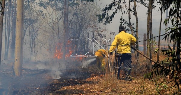 La Nación / Incendio en Patagonia argentina amenaza a comunidad mapuche