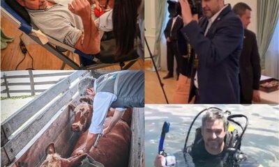 De todo… menos presidente