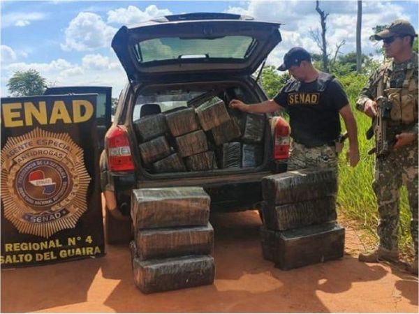 Senad incauta 374 kilos de marihuana en Yvy Pytã