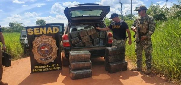 Senad incauta 374 kilos de marihuana en Yvy Pytã