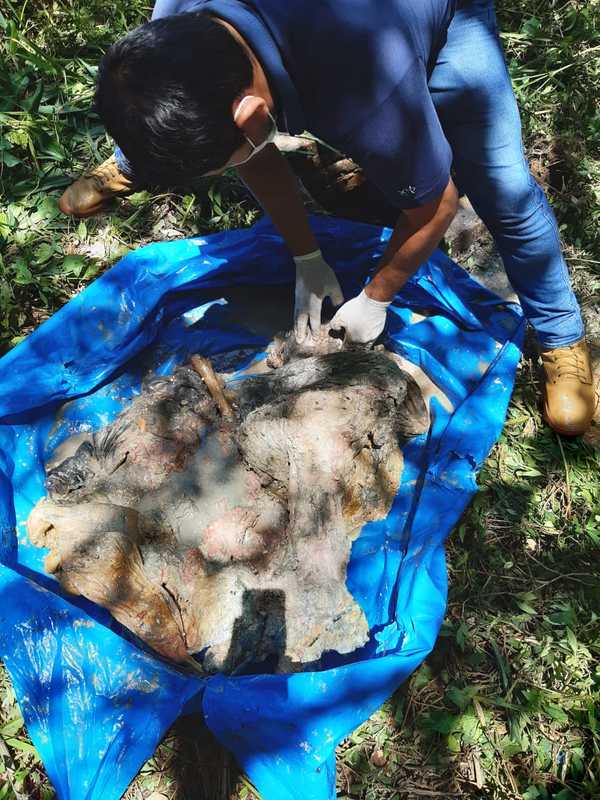 Hallan cadáver en el fondo de un pozo y detienen a presunto autor del crimen