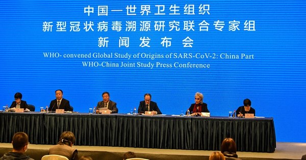 La Nación / El animal que originó el COVID-19 no se identificó aún, dicen expertos de la OMS en Wuhan