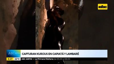 Capturan kurijus en Capiatá y Lambaré - ABC Noticias - ABC Color