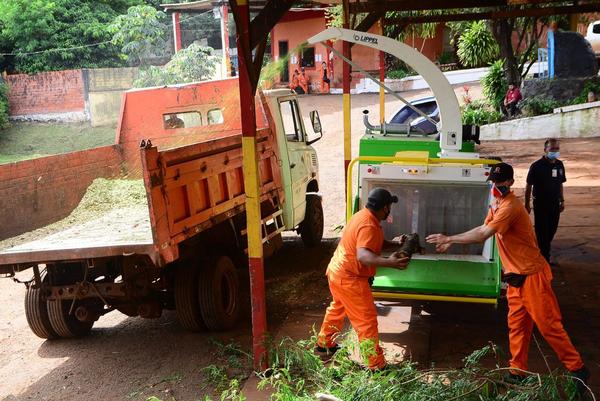 Adquieren moderna máquina trituradora de ramas