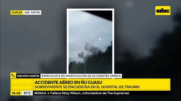 Accidente aéreo en Ñu Guasu: características de la aeronave - ABC Noticias - ABC Color