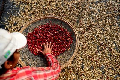 Las exportaciones de café de Brasil cayeron un 9,4 % en enero - MarketData