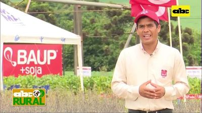 ABC Rural: BAUP presentó soja resistente a sequía - ABC Rural - ABC Color
