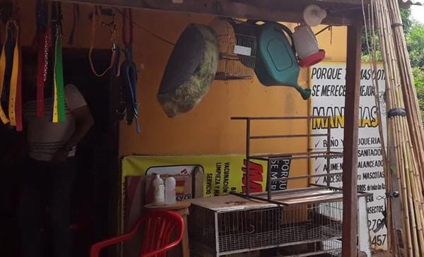 Roban una veterinaria en Coronel Oviedo - Noticiero Paraguay