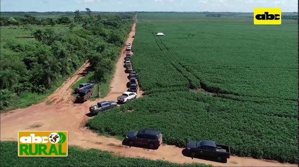 ABC Rural: Transformación de áreas ganaderas a agrícolas - ABC Rural - ABC Color