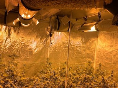Pillan laboratorio de drogas y detienen a presuntos miembros del PCC