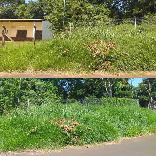 Medio Ambiente no concluye su trabajo de limpieza en Colegio Paraguay-Brasil