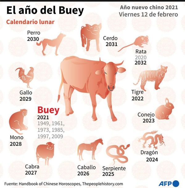 Año del Búfalo, en el calendario chino - Mundo - ABC Color