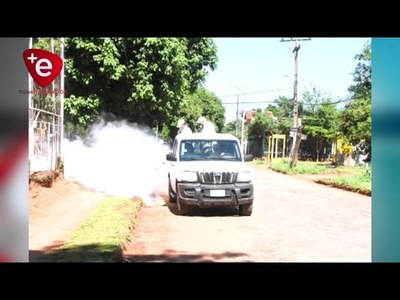 EL CLIMA FAVORECE A LOS MOSQUITOS Y LOS CASOS DE DENGUE