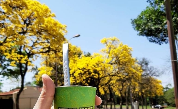 HOY / Kurupi presenta la primera yerba mate del mundo con agregado de Vitamina C