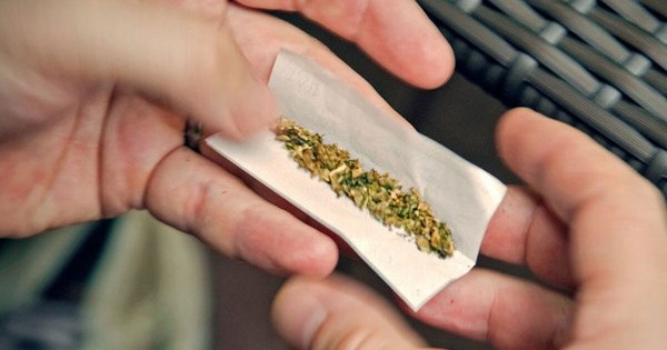 La Nación / ¿Cannabis recreativo legal?: ministra de la Senad insta a diálogo nacional
