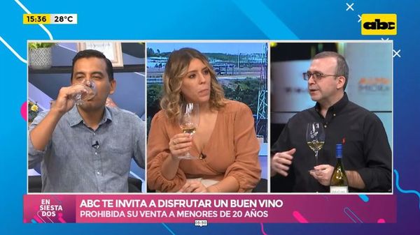 ABC te invita a leer sus páginas disfrutando de un buen vino - Ensiestados - ABC Color