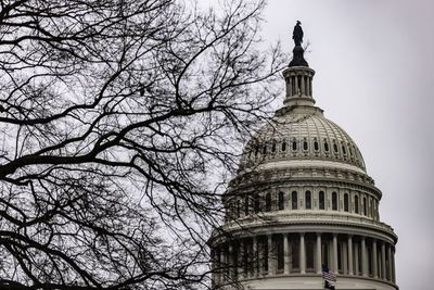 Demócratas en juicio político urgen al Senado a inhabilitar a Trump - Mundo - ABC Color