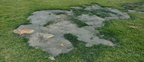 El mensaje de un referente de Guaireña tras el papelón dirigencial