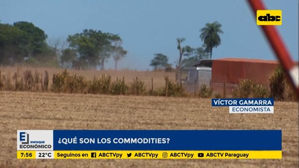 Enfoque Económico: ¿Qué son los Commodities? - Enfoque económico - ABC Color