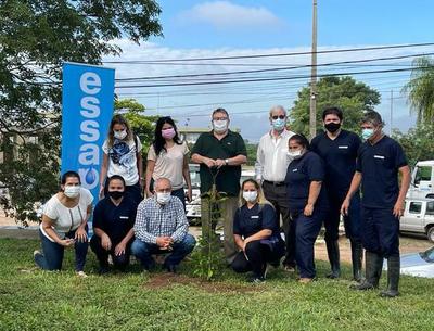 Essap cultiva 50 plantines en predio de la Planta de Viñas Cué | .::Agencia IP::.