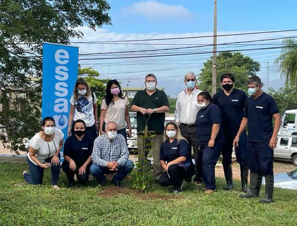 Essap cultiva 50 plantines en predio de la Planta de Viñas Cué | .::Agencia IP::.