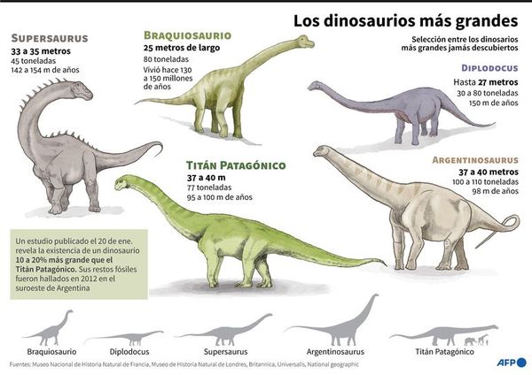En búsqueda del mayor titanosaurio conocido en la Patagonia argentina - Ciencia - ABC Color