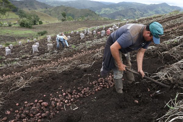 El científico Rattan Lal pide un cambio de paradigma agrícola en Latinoamérica - MarketData