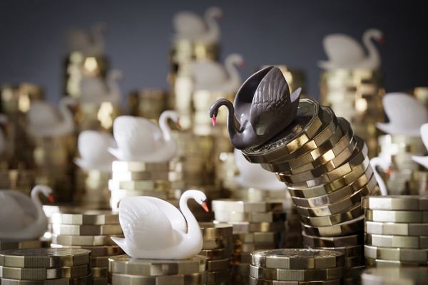 La teoría del Cisne Negro y el impacto económico de las sorpresas - MarketData