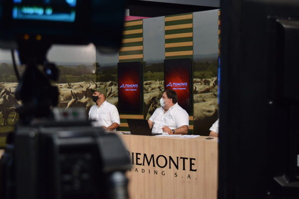 Feria de invernada de Piemonte con 600 cabezas y un alto porcentaje de vaquillas pesadas