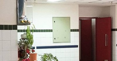 La Nación / Familiares de pacientes acuden a la fe para hacer frente al precario sistema de salud