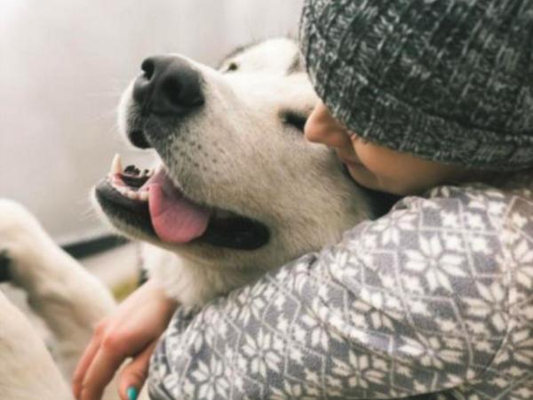 Amor por los perros en San Valentín